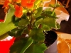 img_20140412_133826